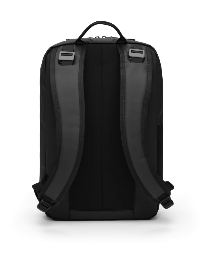 Back view