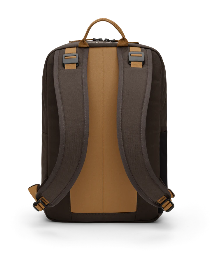 Back view