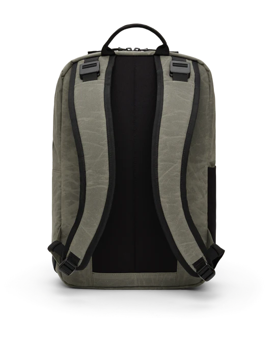 Back view
