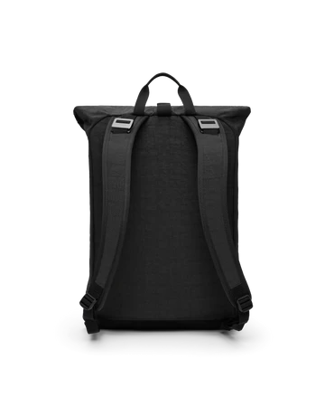 Back view