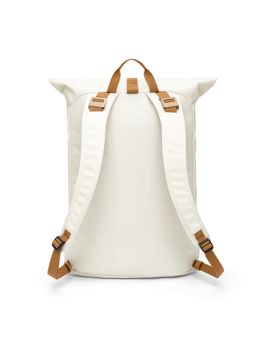 Back view